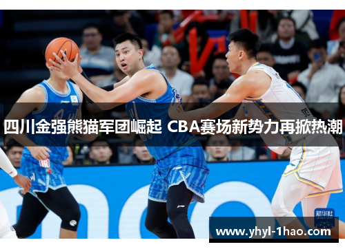 四川金强熊猫军团崛起 CBA赛场新势力再掀热潮
